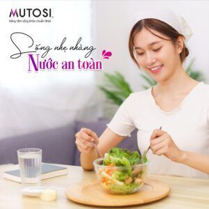 may loc nuoc anh duc hai phong shopanhduc.com