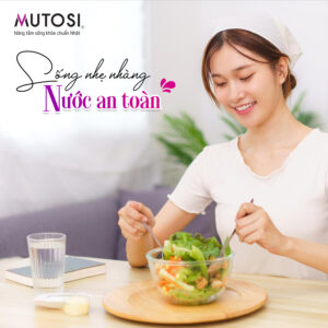 may loc nuoc anh duc hai phong shopanhduc.com